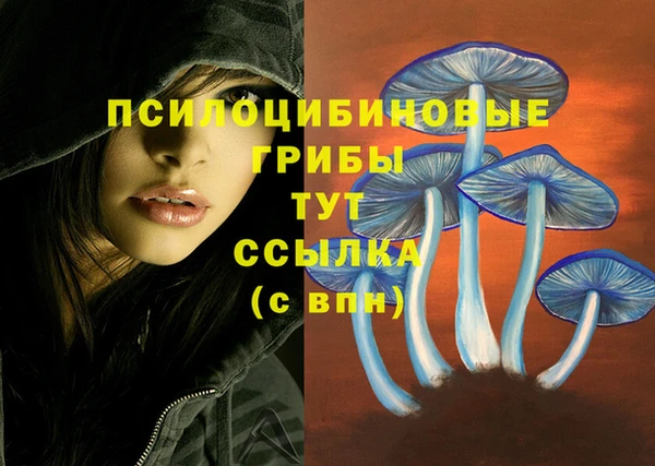 прущий лед Аркадак