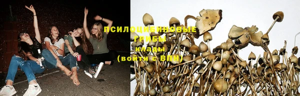 прущий лед Аркадак